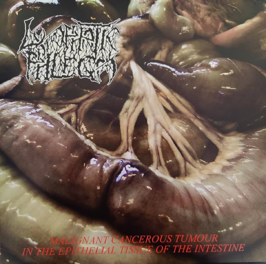 FLESH GRINDER / LYMPHATIC PHLEGM - Split LP