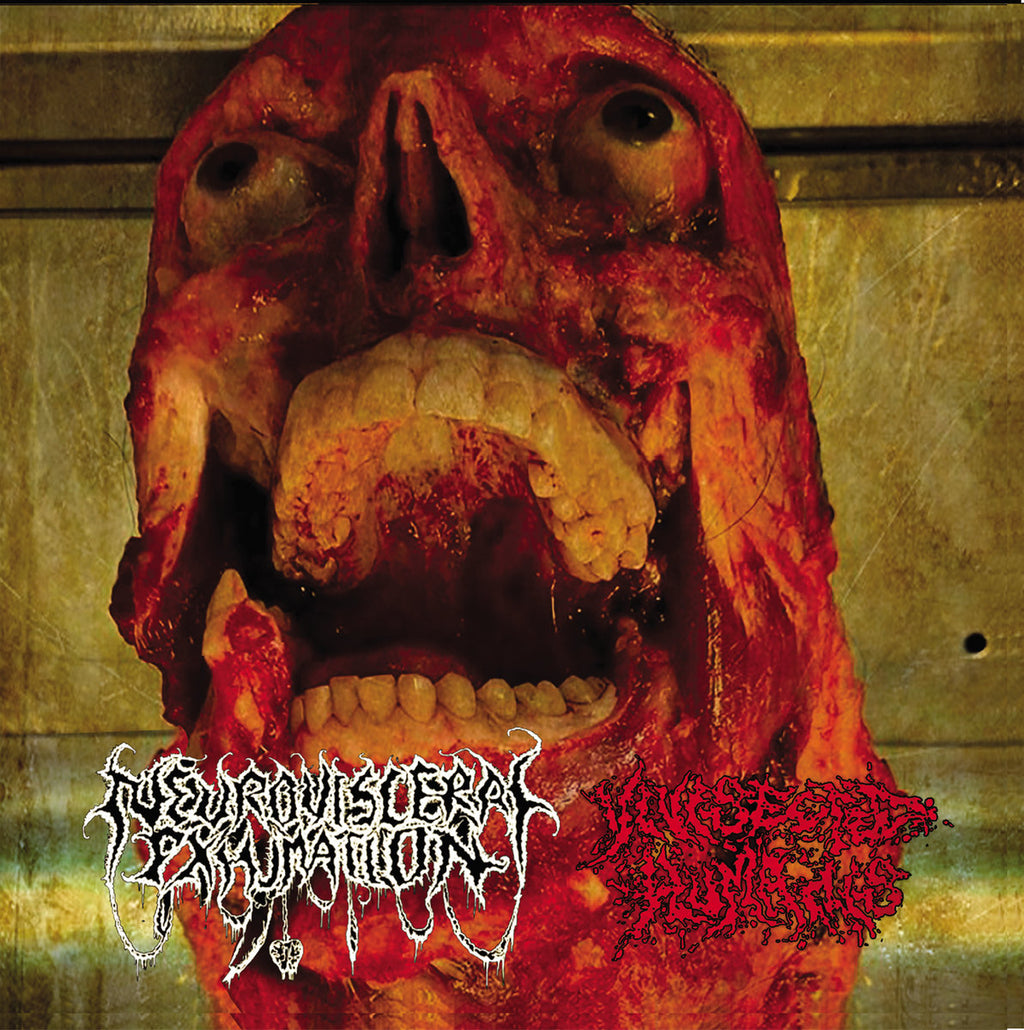 Neuro-Visceral Exhumation / Vomi Noir Split Cd