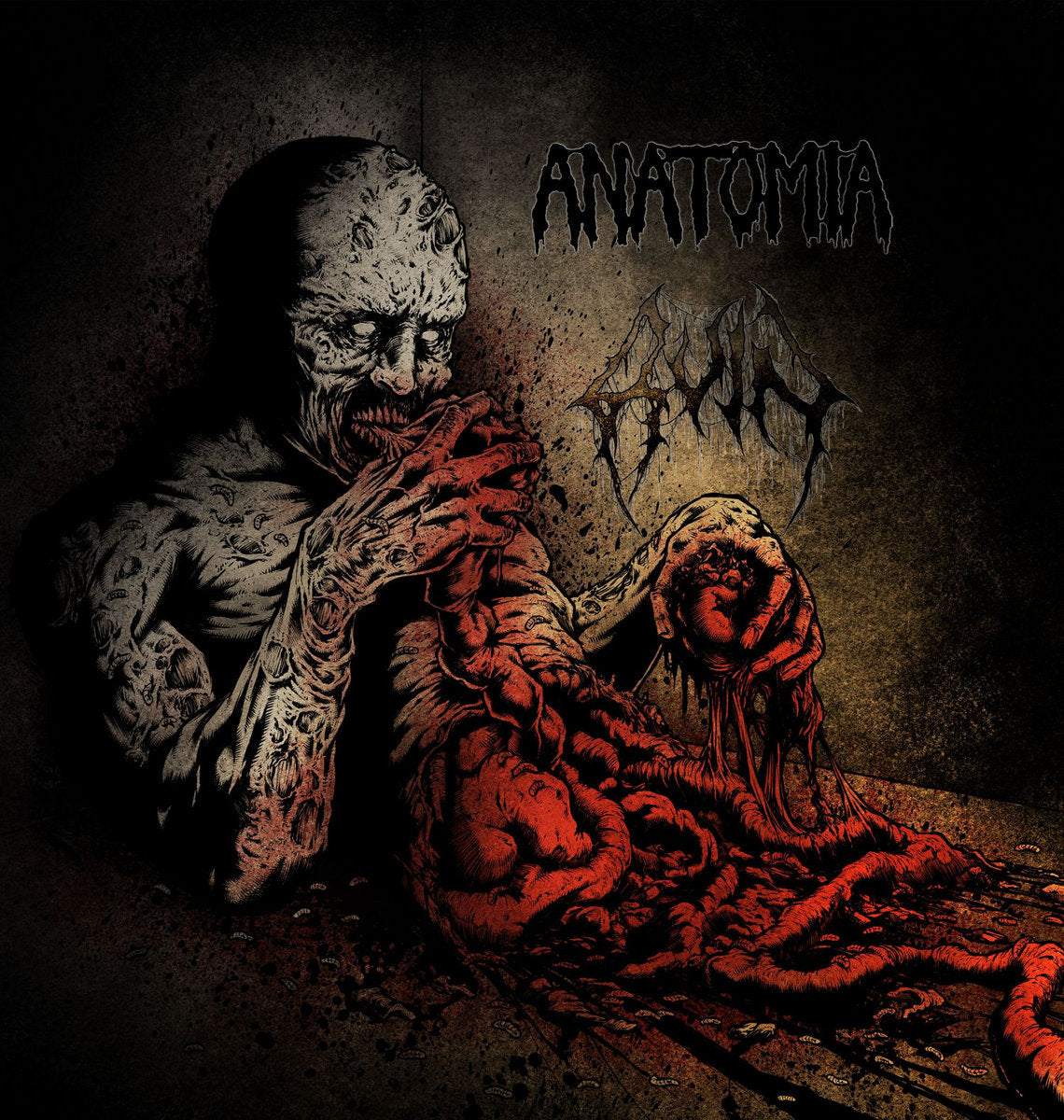 Anatomia / Ruin Split Lp